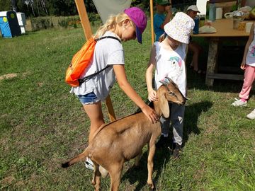 Wycieczki edukacyjno - rekreacyjne KOZI LAS