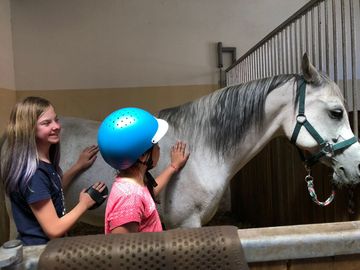 Zajęcia edukacyjno - sportowe W SIODLE